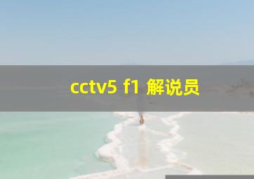 cctv5 f1 解说员